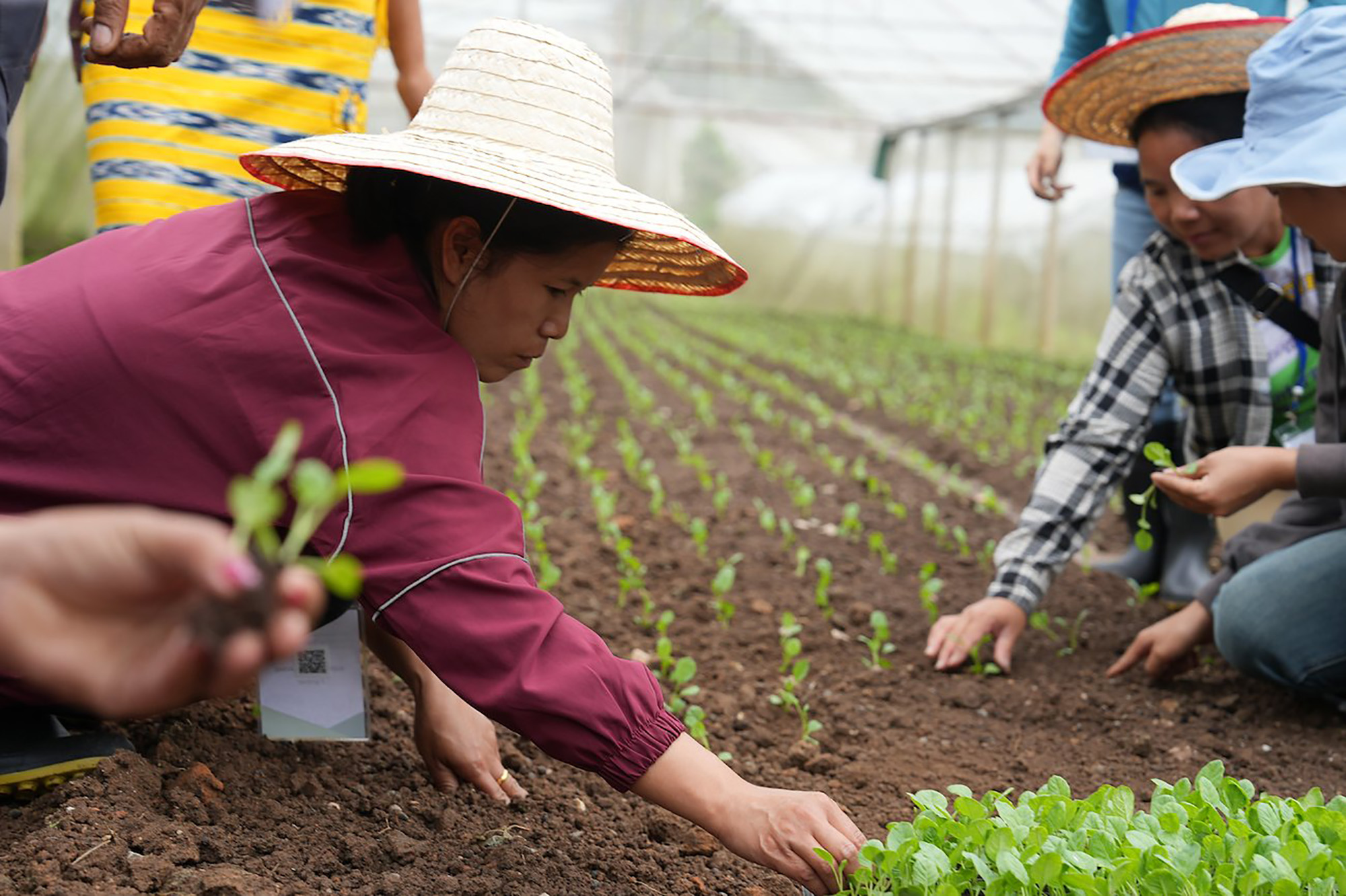 A woman l from Myanmar learning about sustainable agriculture in Thailand. 