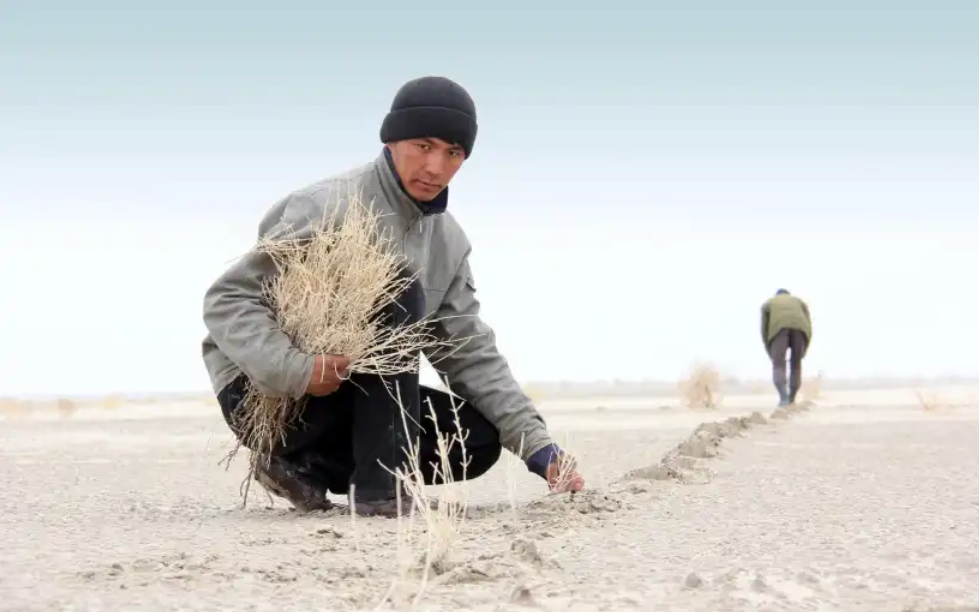 Un jeune homme au milieu d'un terrain aride