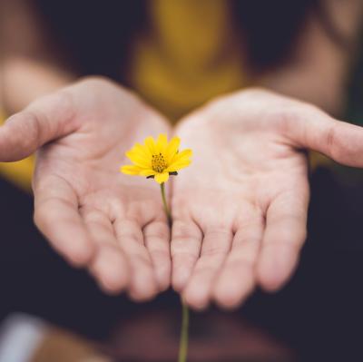We all have a role to play in “creating hope through action” to prevent suicide. Photo: Lina Trochez on Unsplash We all have a role to play in “creating hope through action” to prevent suicide. Photo: Lina Trochez on Unsplash