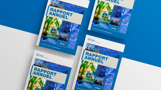 Couverture du rapport