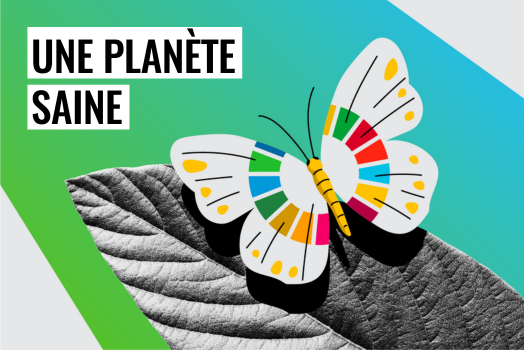 Un environnement sain Composition en noir et blanc d'un papillon sur une feuille, avec l'icône colorée des objectifs de développement durable sur ses ailes.